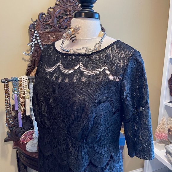 Rabbit Rabbit Rabbit EUC 22W Black Lace Dress - Picture 3 of 14